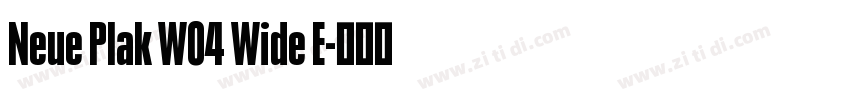 Neue Plak W04 Wide E字体转换